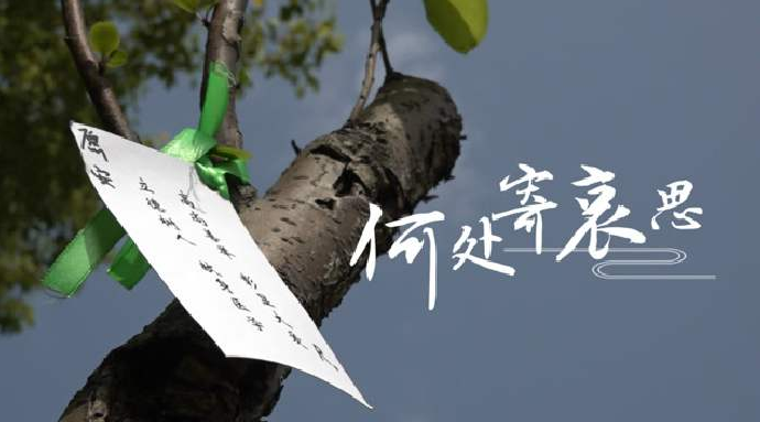 如何挑選真材實料的陶瓷骨灰盒？